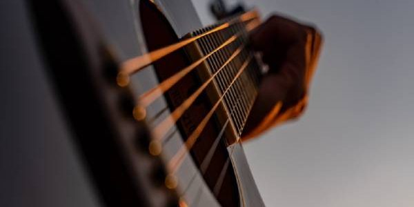 راهنمای خرید گیتار