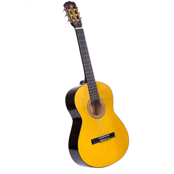  گیتار دایموند مدل ts600 یکی از بهترین مدل های گیتار