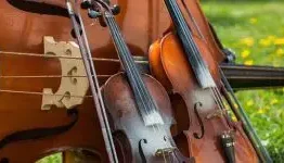 viola ساز ویولا چیست؟