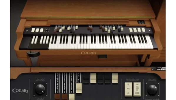 The best organ to start with-1 بهترین ارگ و کیبورد موسیقی