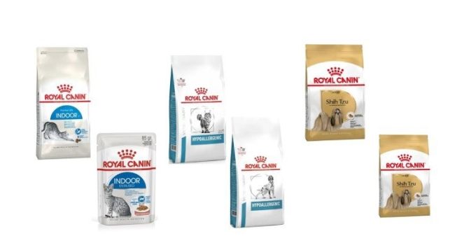 guest-canin