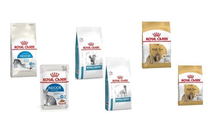 guest-canin