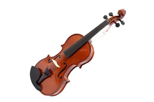 violin-10 راهنمای خرید ویولن با کیفیت